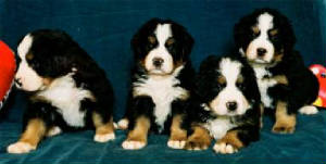 image002.jpg